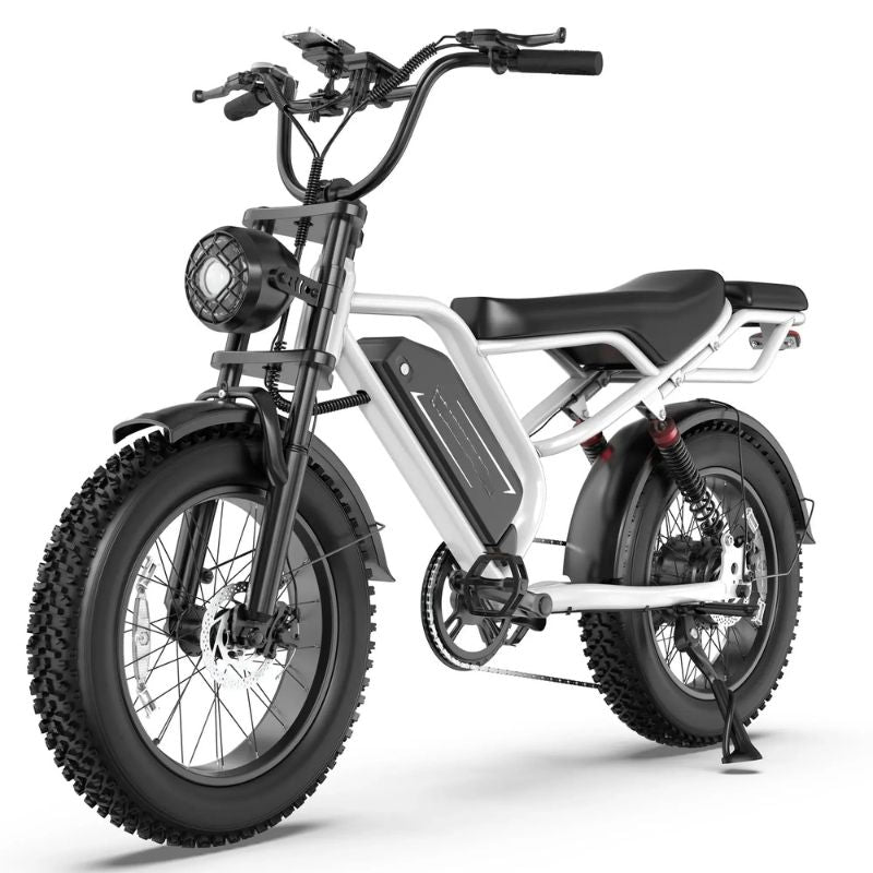 VV E-BIKE